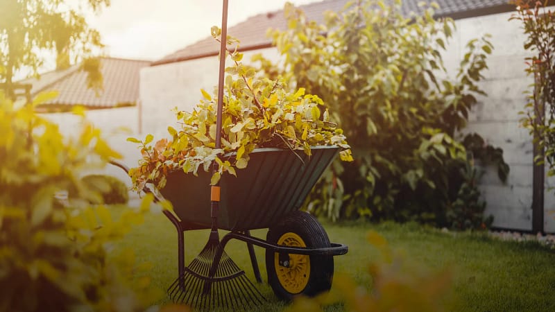 Hosten denperfektearstidforlittopprydding 02